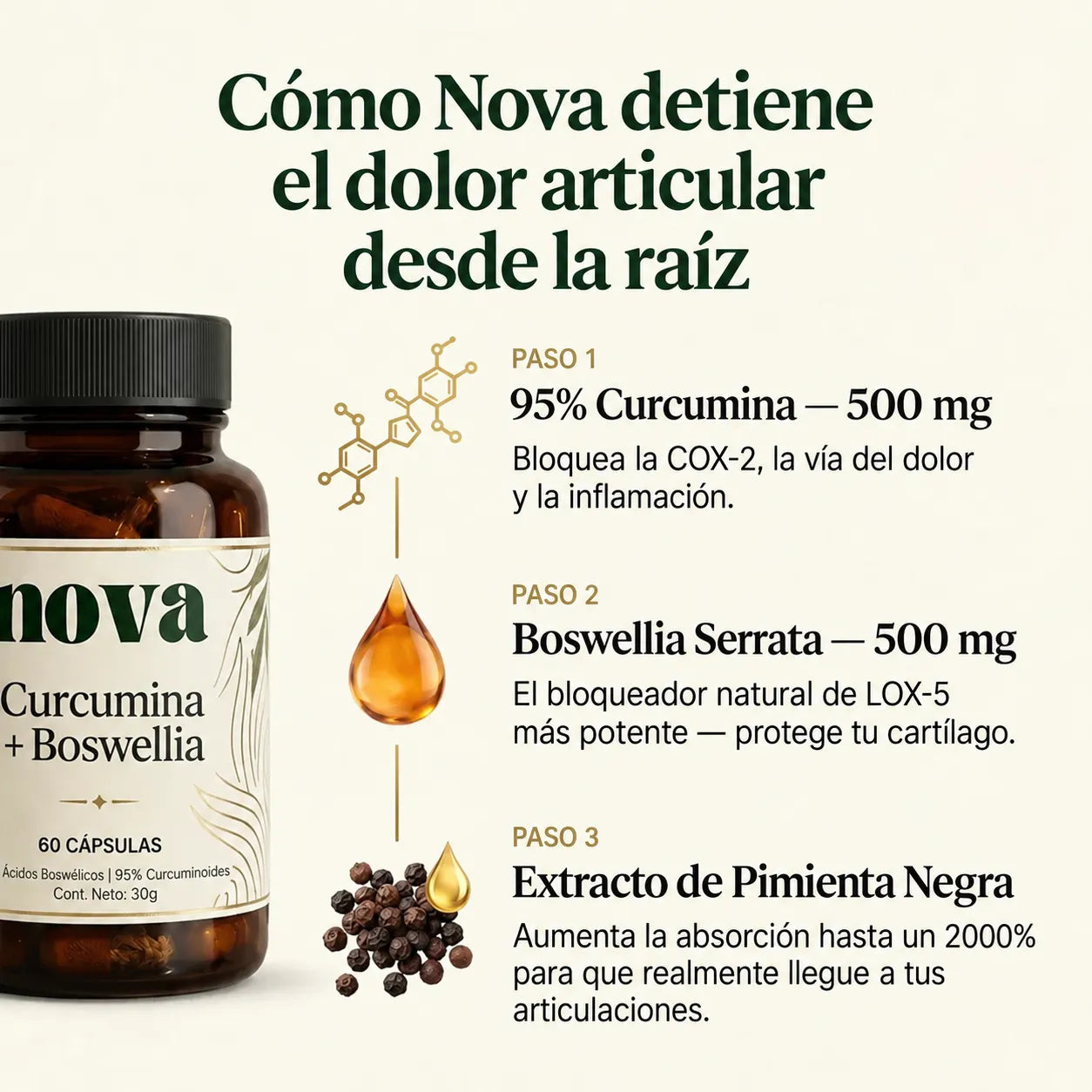 Apoyo para Tus Articulaciones Boswellia + Curcumina