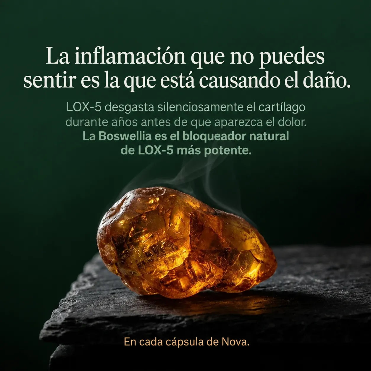 Apoyo para Tus Articulaciones Boswellia + Curcumina