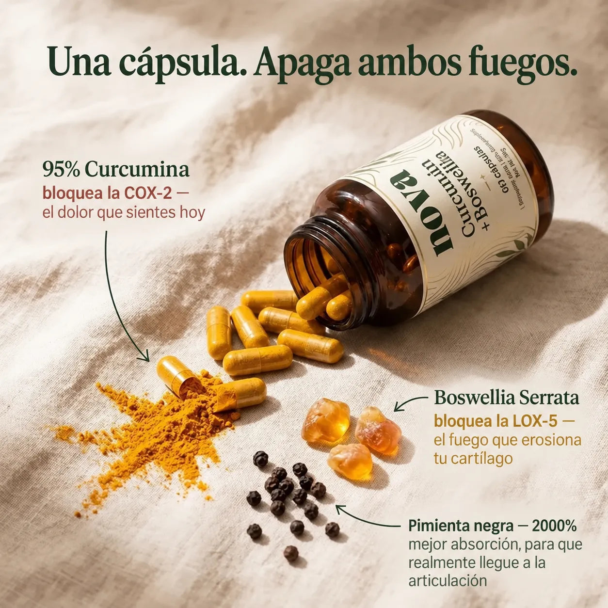 Apoyo para Tus Articulaciones Boswellia + Curcumina